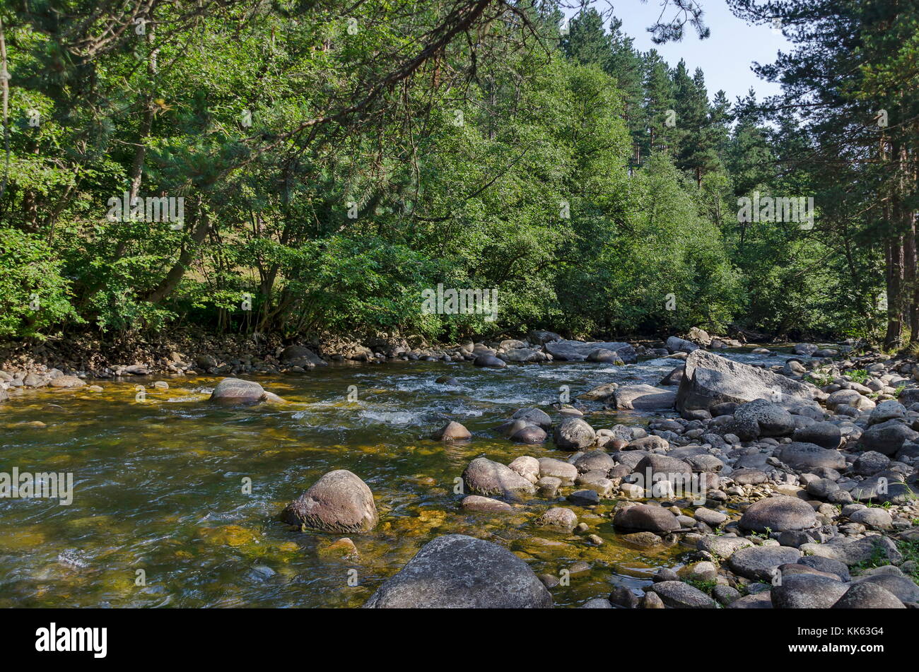 Bellissima vista della foresta autunnale e il fiume iskar in montagna Rila, bulgaria, europa Foto Stock