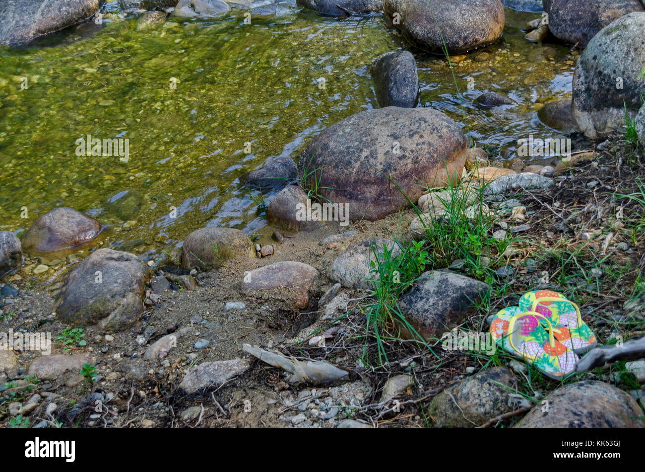 Bellissima vista della foresta autunnale e il fiume iskar in montagna Rila, bulgaria, europa Foto Stock