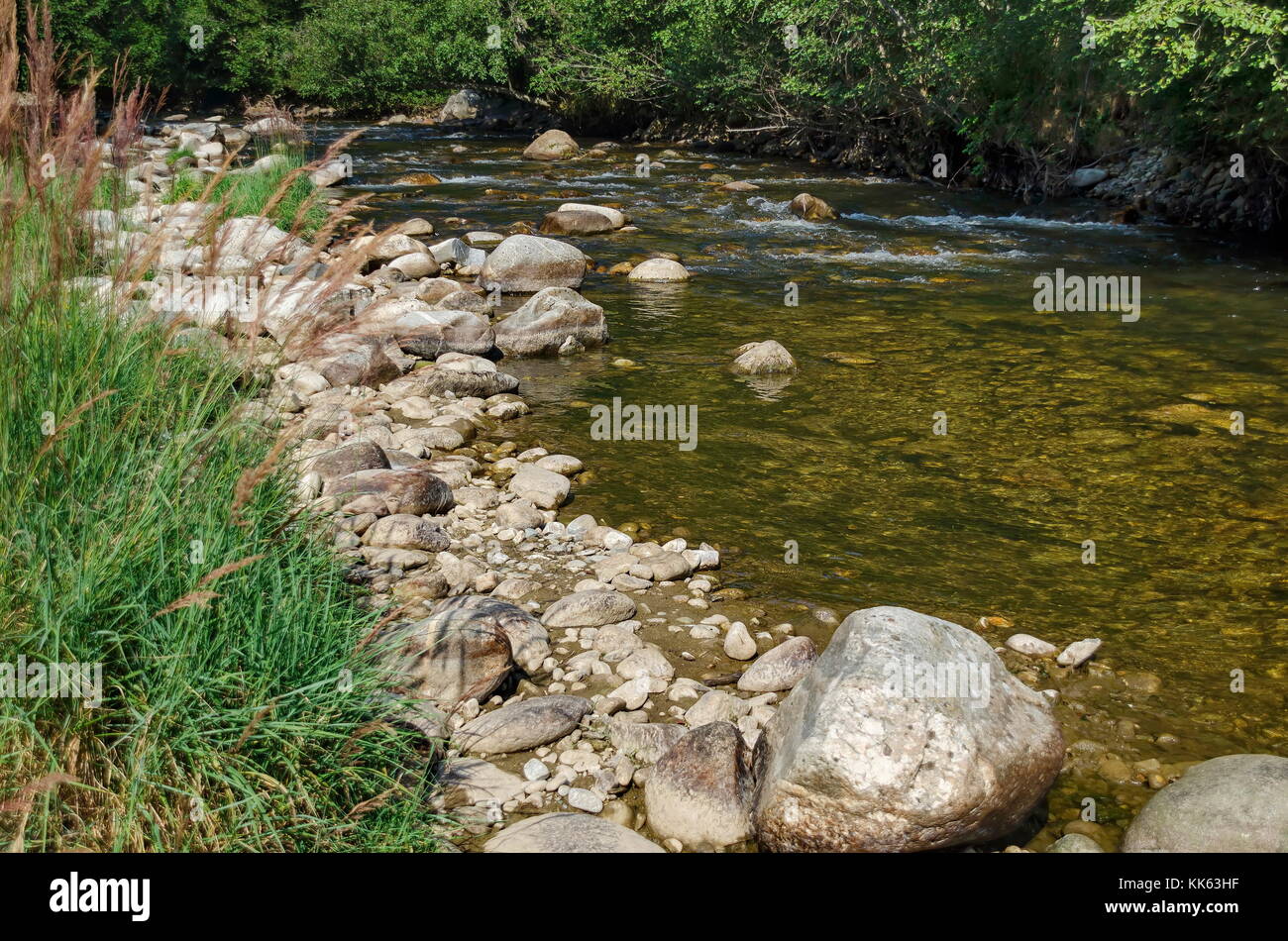 Bellissima vista della foresta autunnale e il fiume iskar in montagna Rila, bulgaria, europa Foto Stock