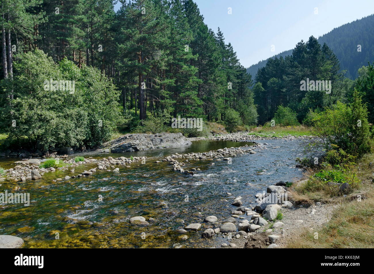 Bellissima vista della foresta autunnale e il fiume iskar in montagna Rila, bulgaria, europa Foto Stock