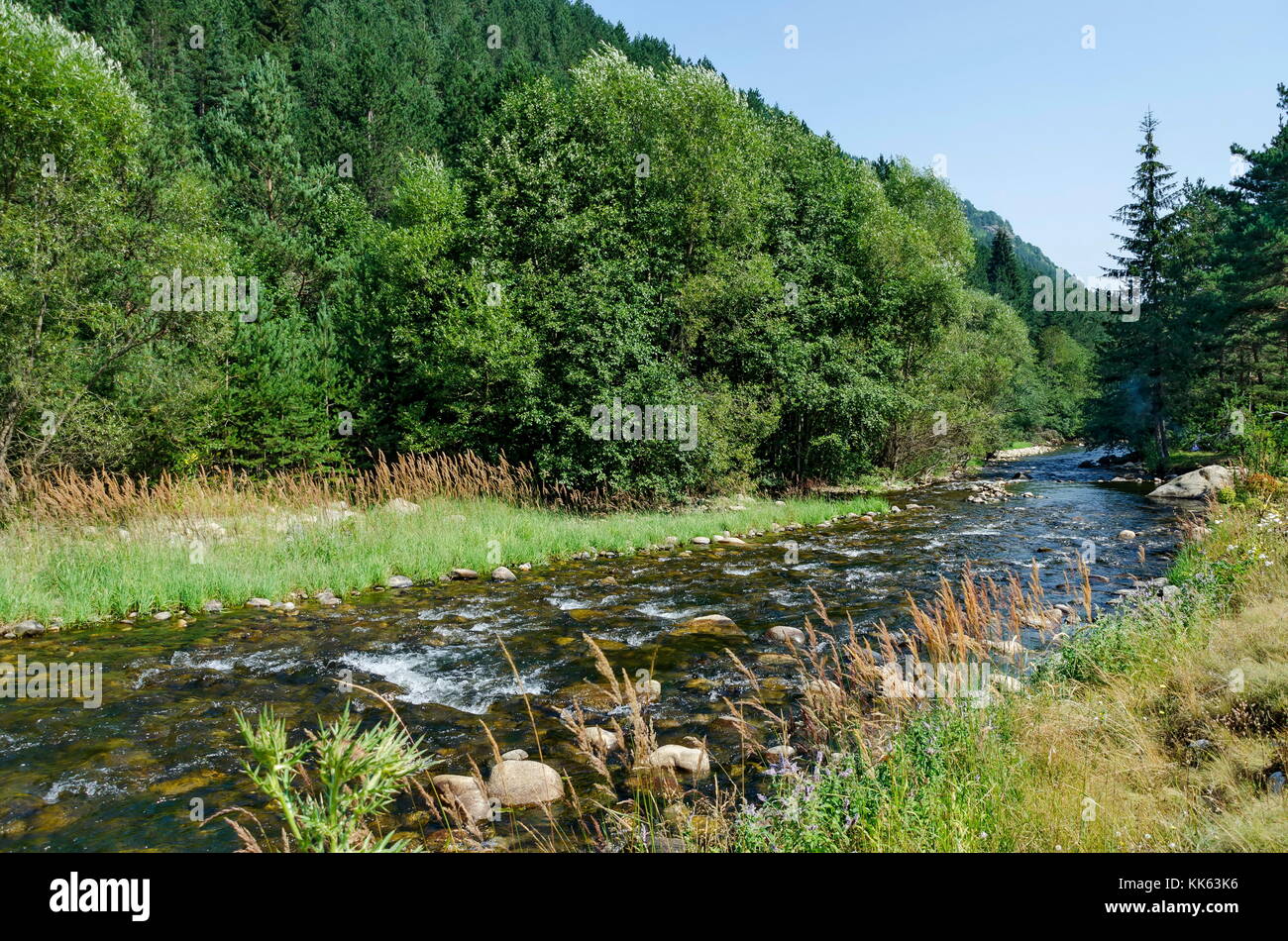 Bellissima vista della foresta autunnale e il fiume iskar in montagna Rila, bulgaria, europa Foto Stock