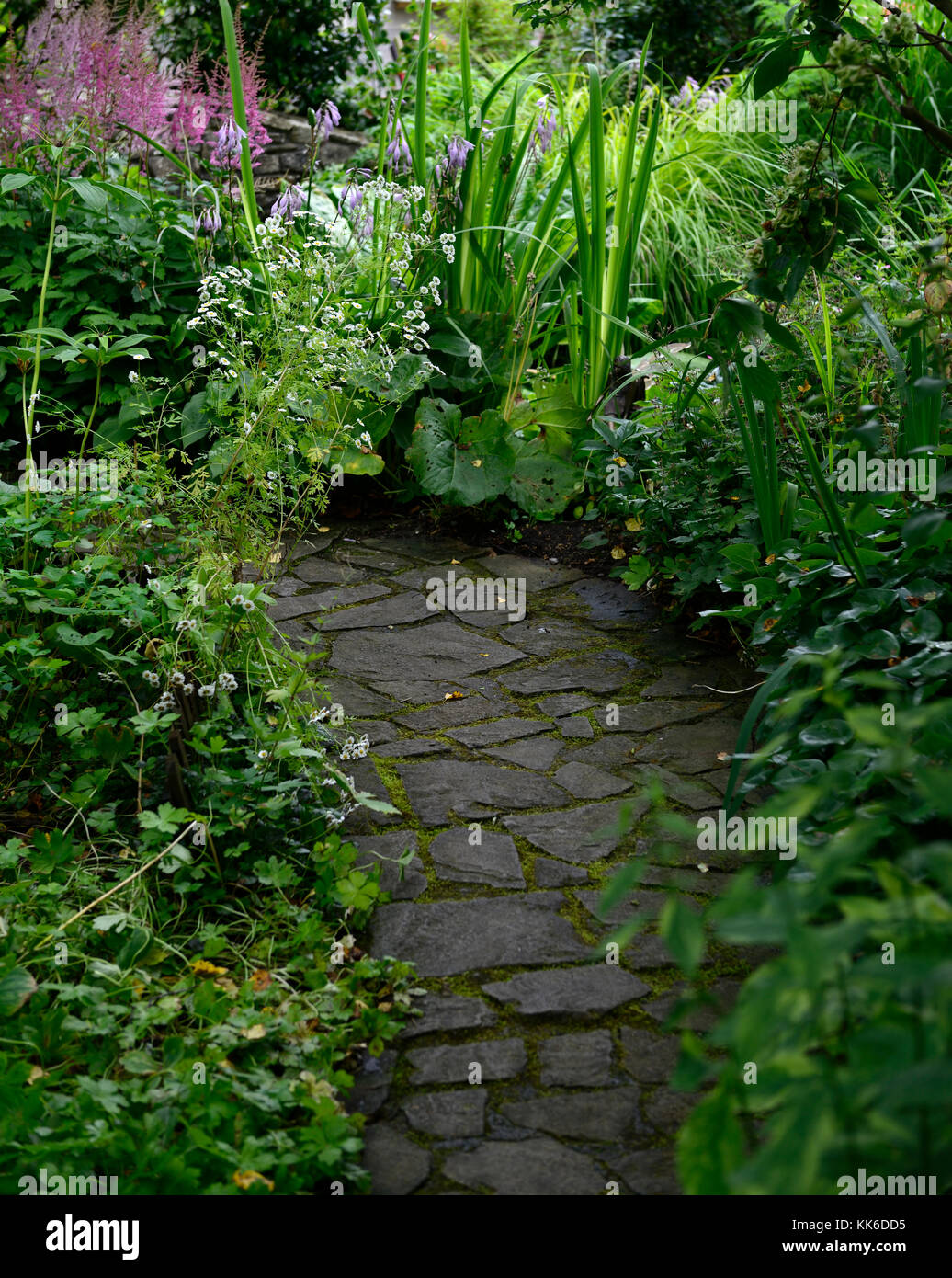 Percorso, percorso, pietra, lastricata, pavimentazione, ombra, ombreggiato, ombreggiata, giardini giardino, giardinaggio, RM Floral Foto Stock