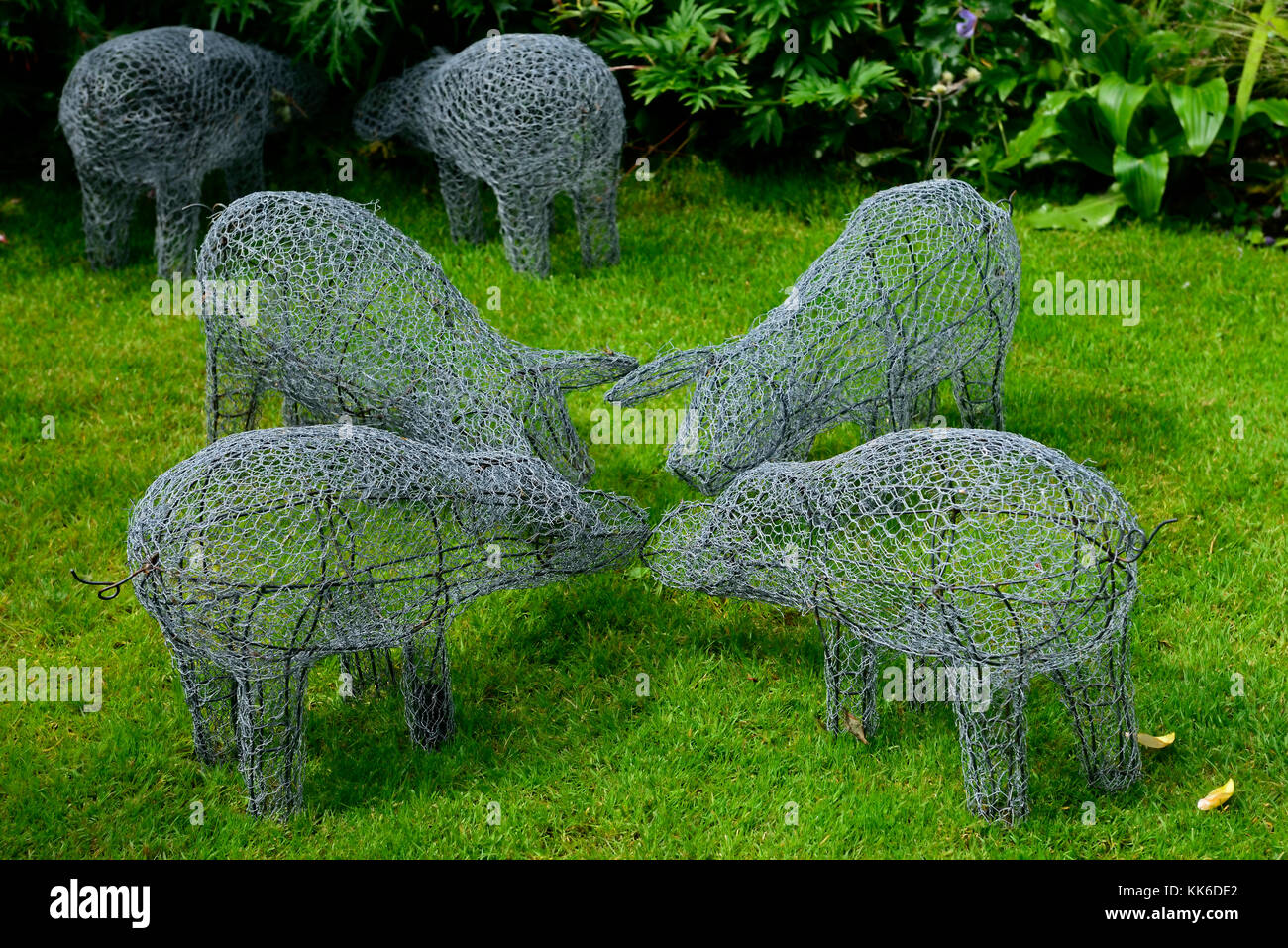 Giardino, scultura, arte, installazione, maiale, suini, animali animali, filo, telaio, forma, struttura, giardini, giardinaggio, RM Floral Foto Stock