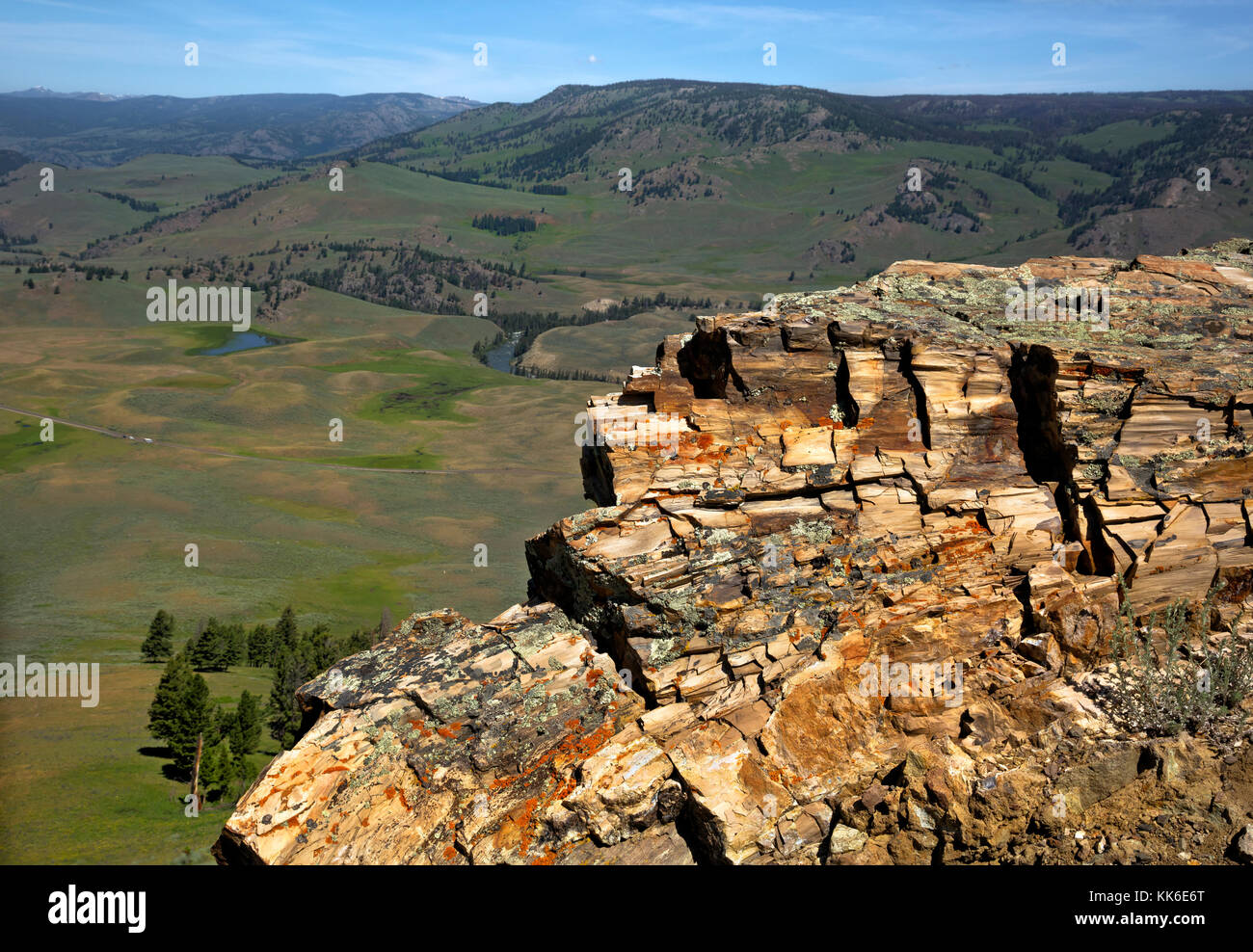 Wy02680-00...wyoming - una massiccia pietrificati coast redwood tree visualizzati sul pietrificati trees trail mentre guardando oltre il lamar valley a yellowstone n Foto Stock