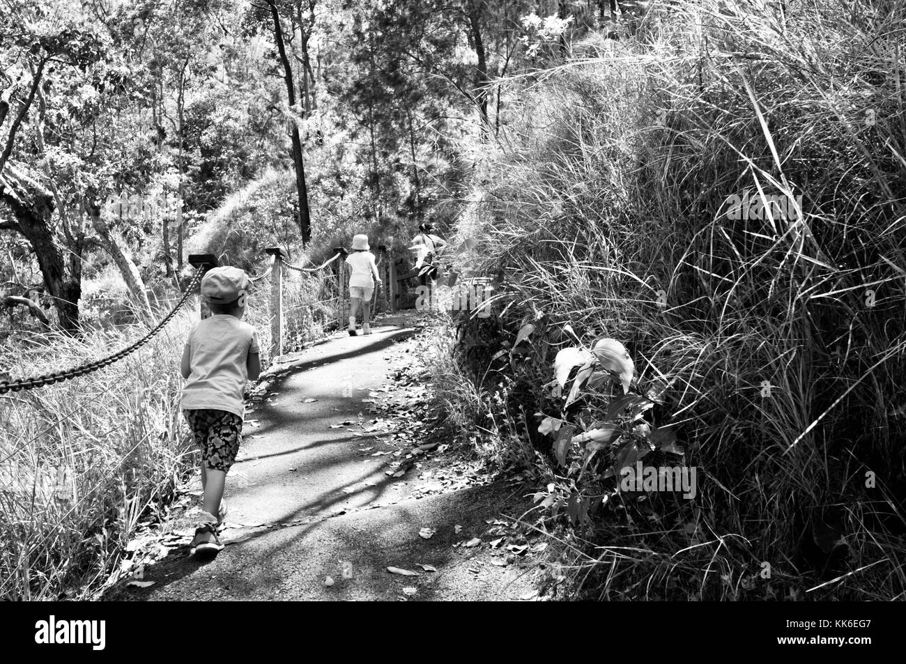 I bambini a piedi attraverso una foresta pluviale a wallaman cade in girringun national park, Queensland, Australia Foto Stock