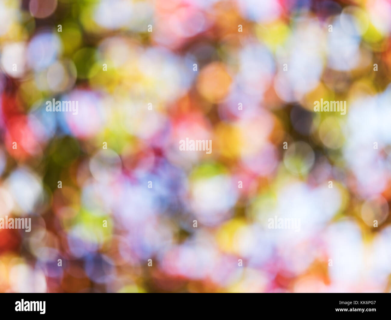 Sfocato colorato Foglie di autunno. la natura dello sfondo. Foto Stock