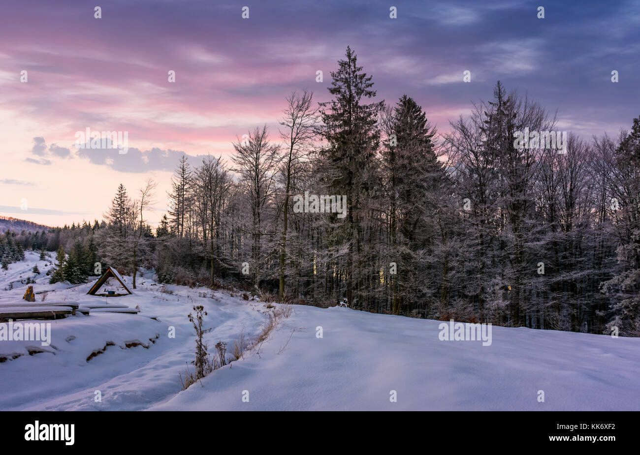 Foresta di brina sul pendio nevoso all'alba. stupendo paesaggio naturale in inverno con cielo magenta Foto Stock
