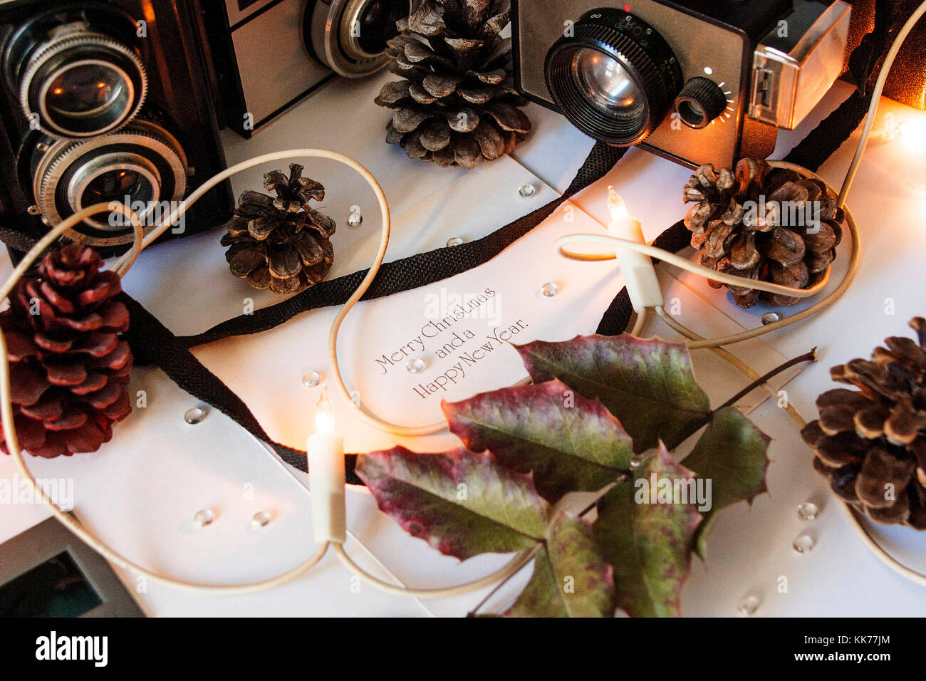 Vecchie macchine fotografiche in un spirito di inverno Foto Stock