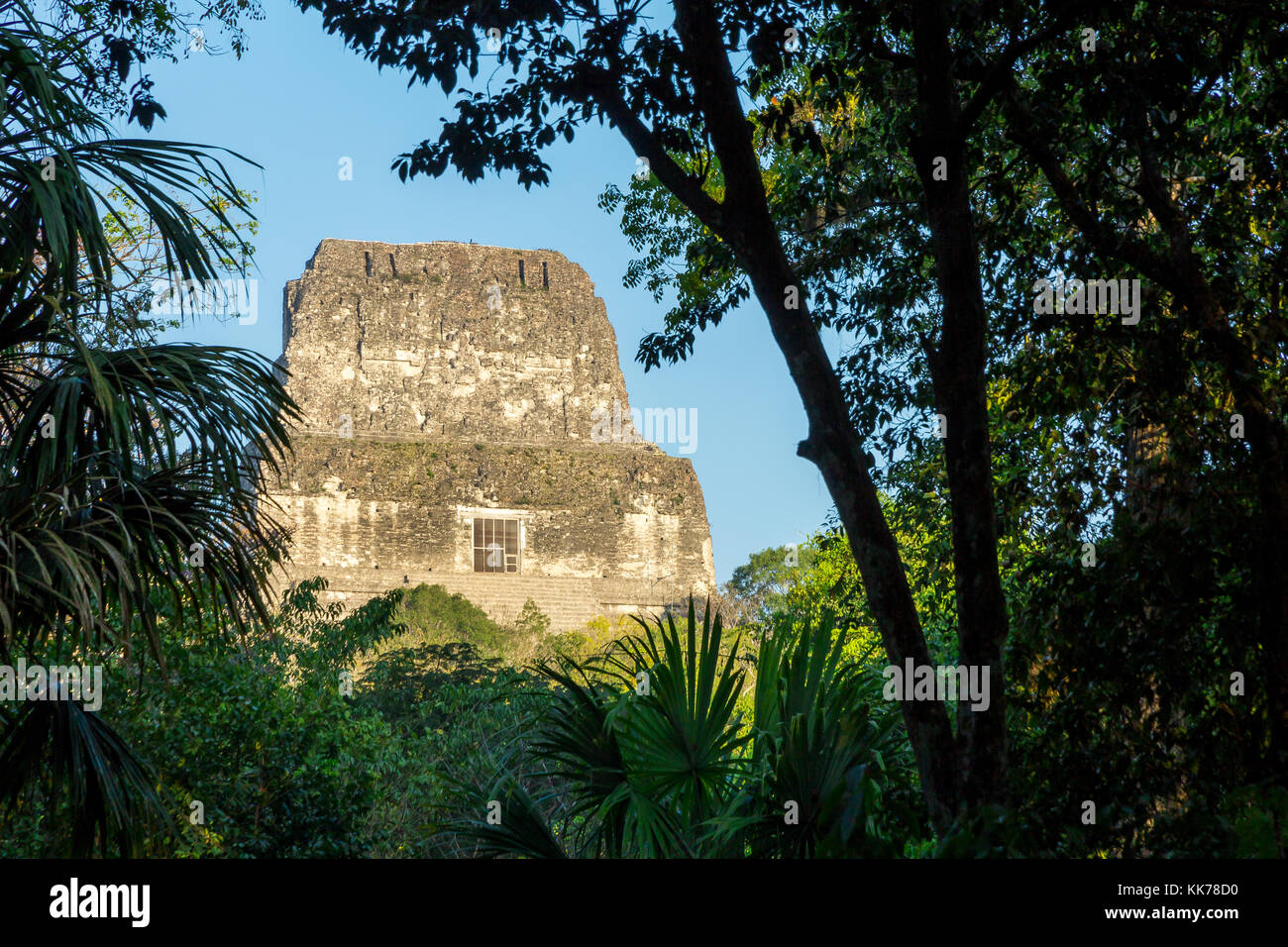 Vista al Tempio IV | Tikal | Guatemala Foto Stock