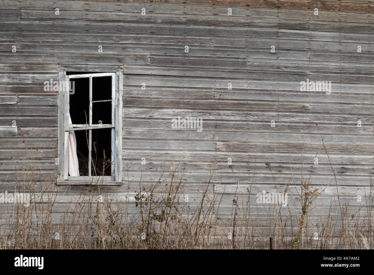 Un vecchio fienile su una fattoria del Minnesota, che è stato abbandonato e diventando vecchio e malandato. Foto Stock