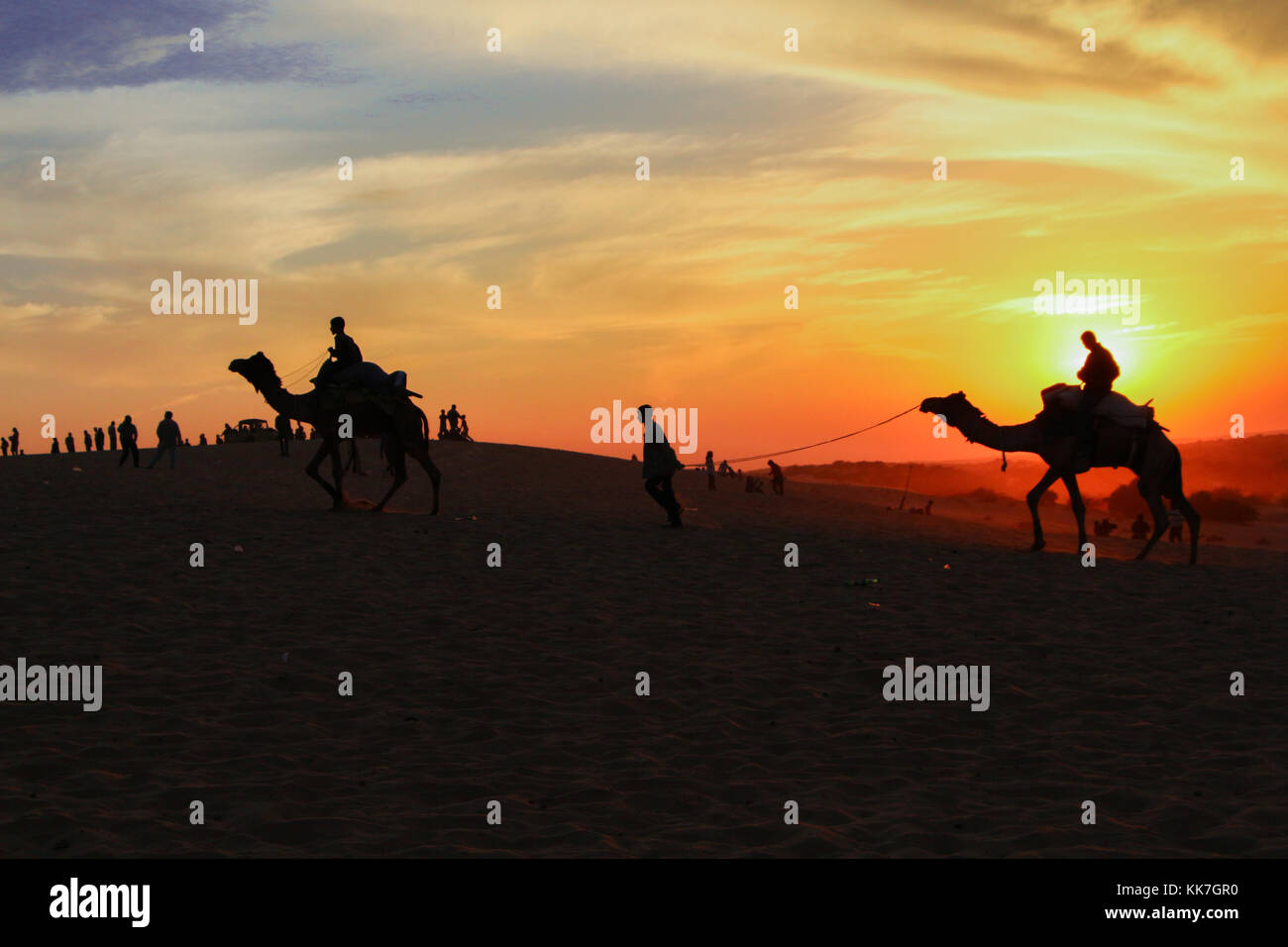Una silhouette di cammelli a piedi nel deserto al tramonto Foto Stock