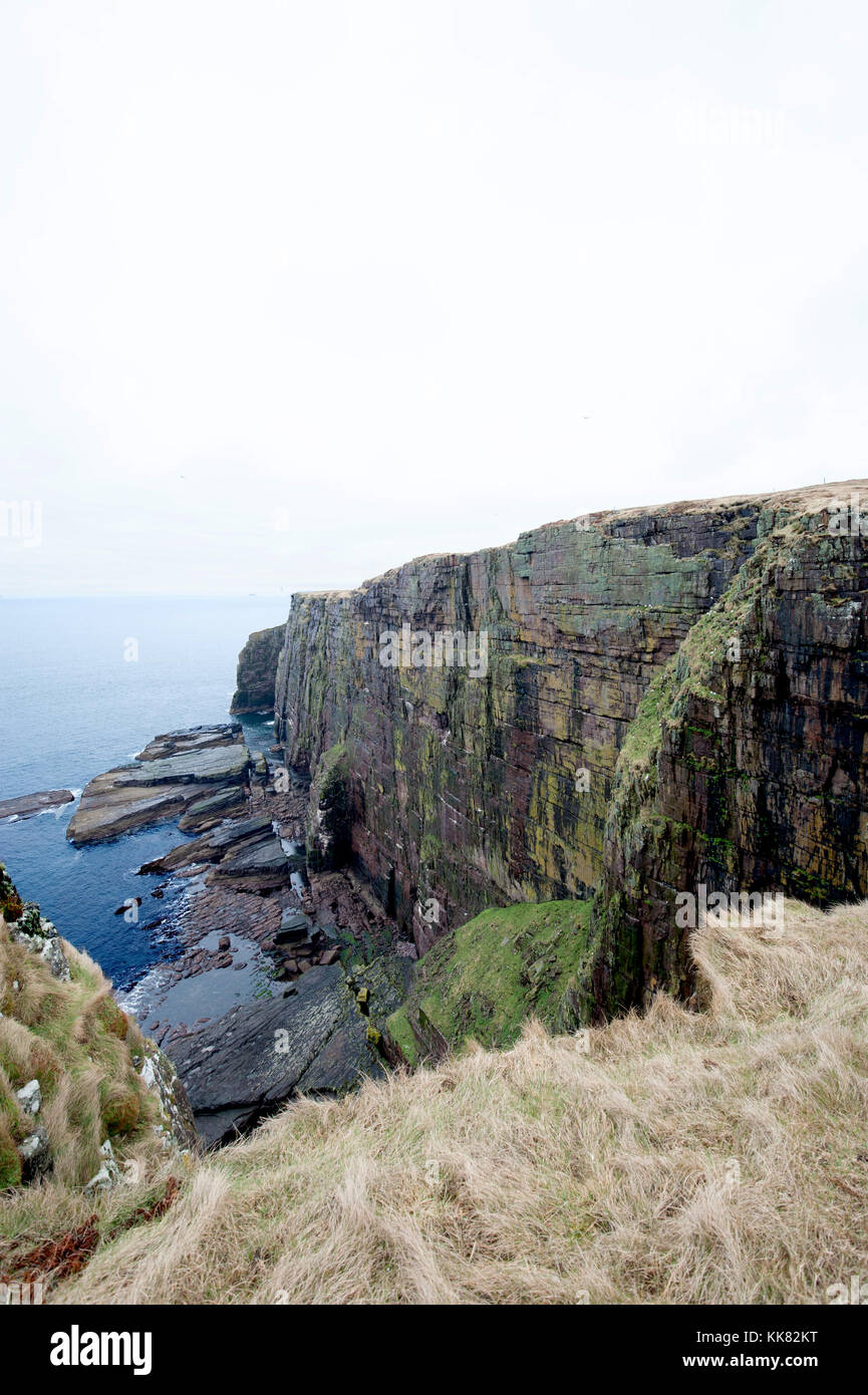 Handa Island, Scozia. Un'isola disabitata al largo della costa nord ovest della Scozia che è gestito dalla Scottish wildlife trust come una riserva di uccelli Foto Stock