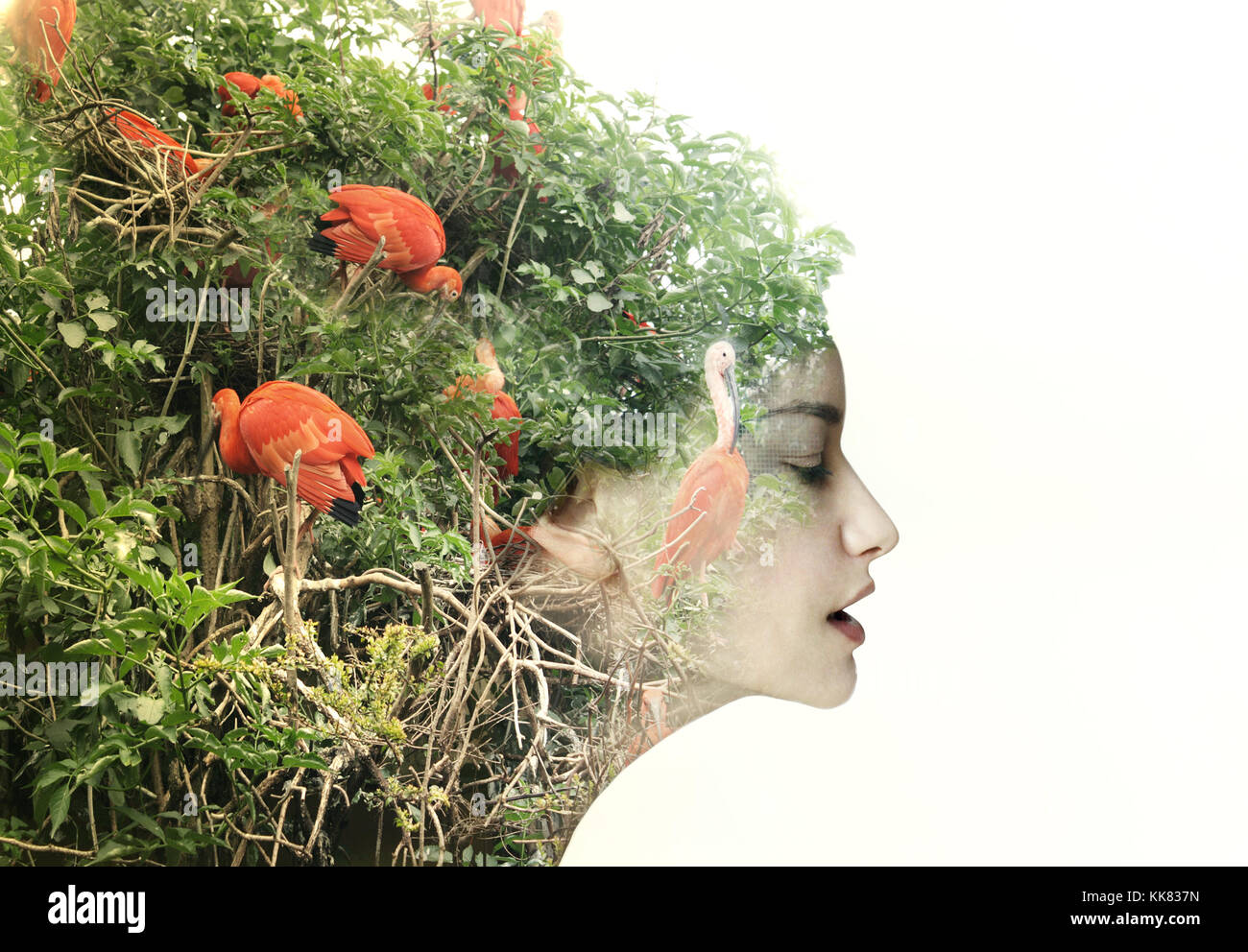 Surreale artistico profilo femmina in una metamorfosi con la natura Foto Stock