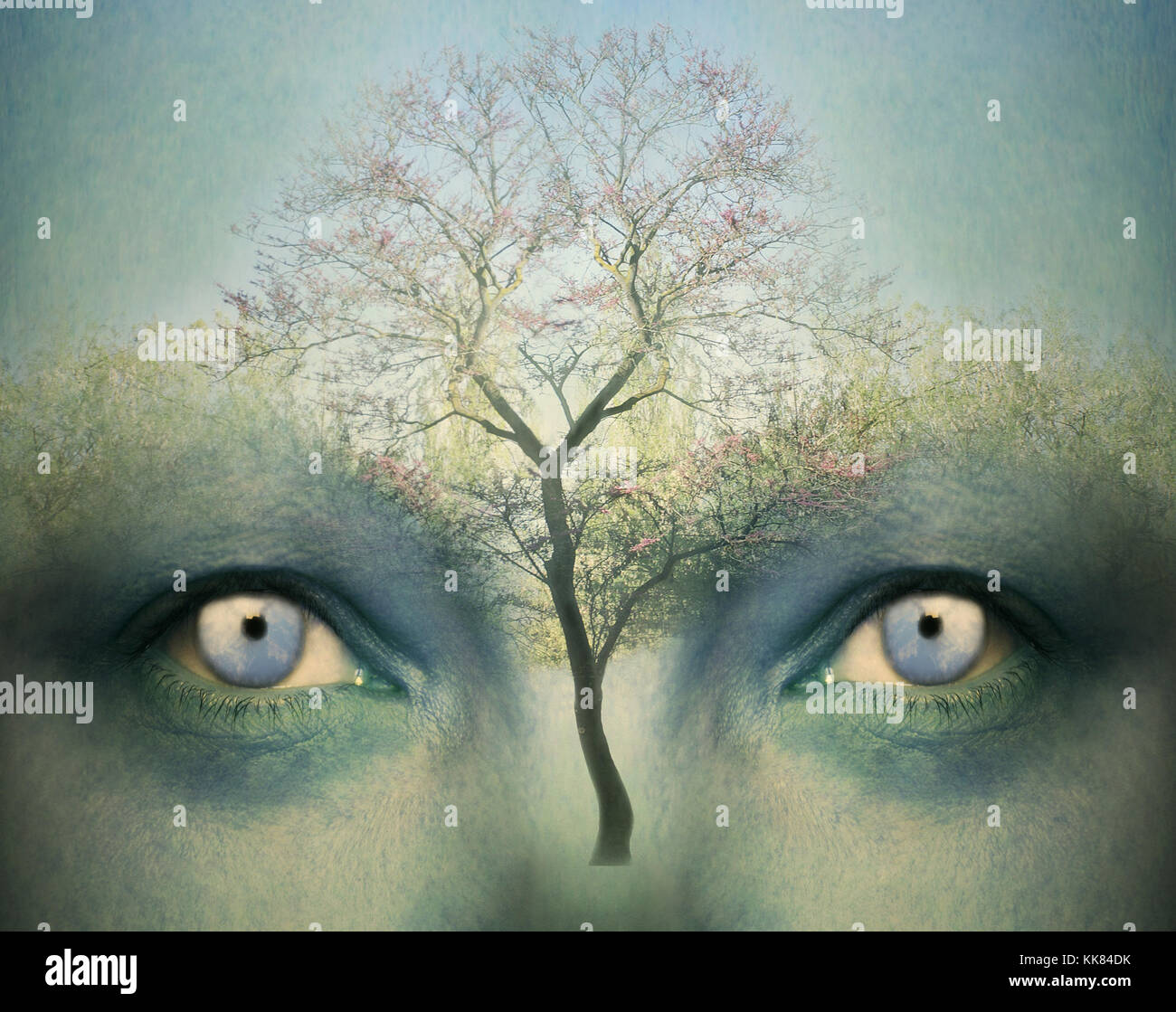 Bella fantasia artistica che rappresenta lo sfondo a due occhi umani e un albero Foto Stock