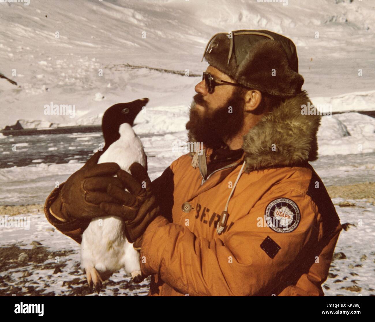 Scienziato esamina un pinguino durante il 1966-67 USGS Byrd Land Survey traversa, noi Antartico Programma di ricerca. Immagine cortesia USGS. 1966. Foto Stock