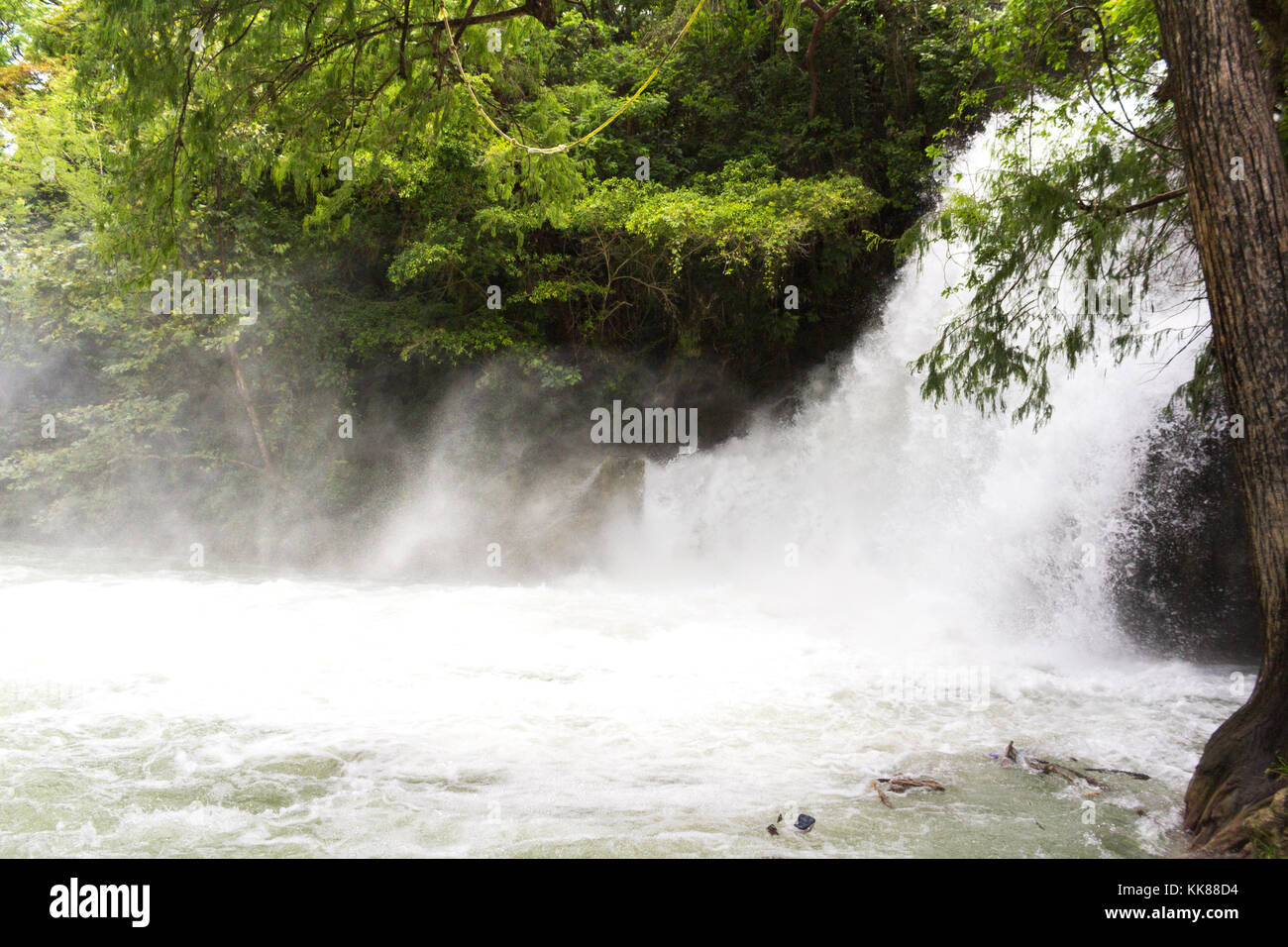 Cascate nella foresta. Tamasopo, San Luis Potosí. Messico Foto Stock