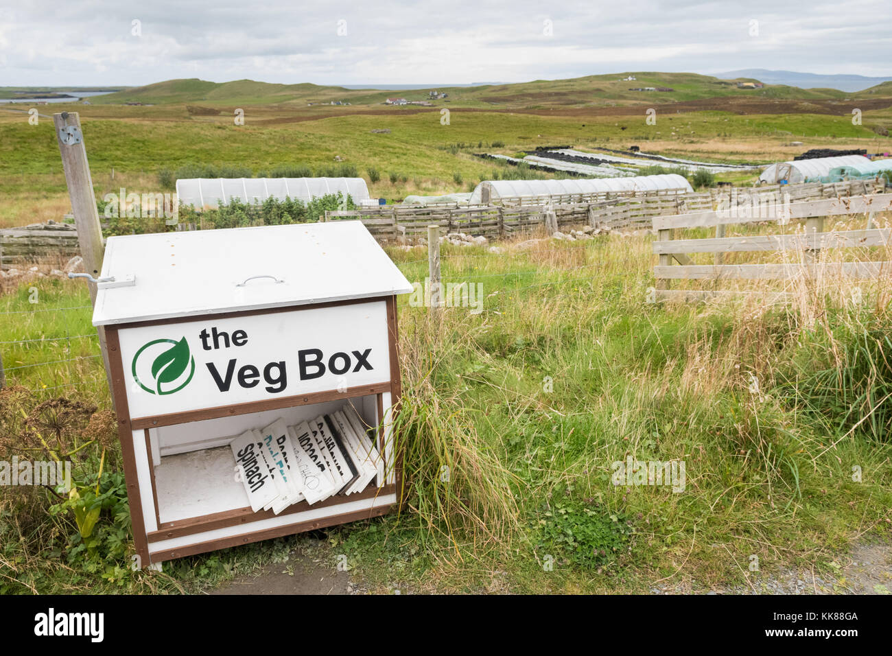 Casella di onestà per la produzione agricola da croft, Sandness, isole Shetland, Scotland, Regno Unito Foto Stock