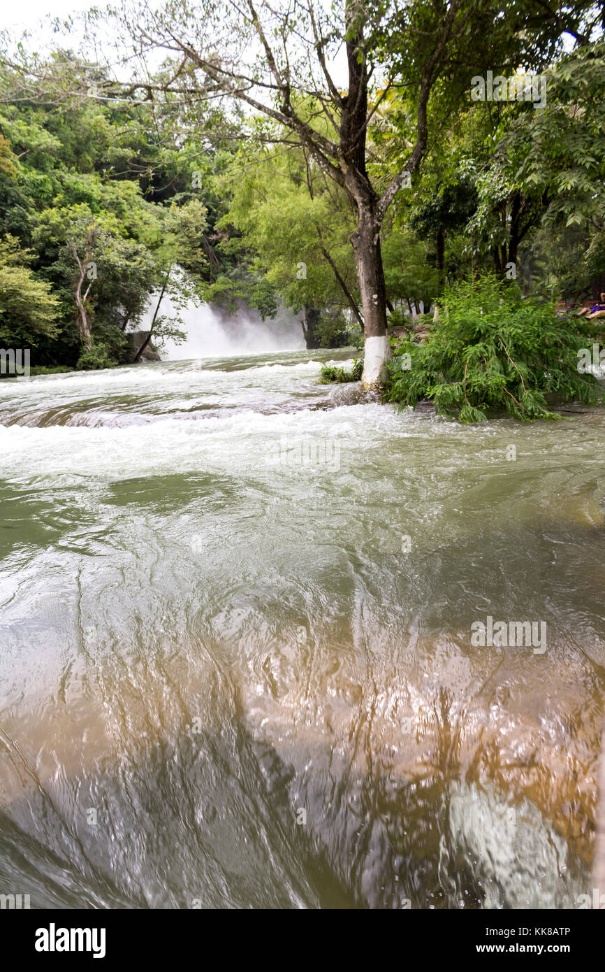 Cascate nella foresta. Tamasopo, San Luis Potosí. Messico Foto Stock