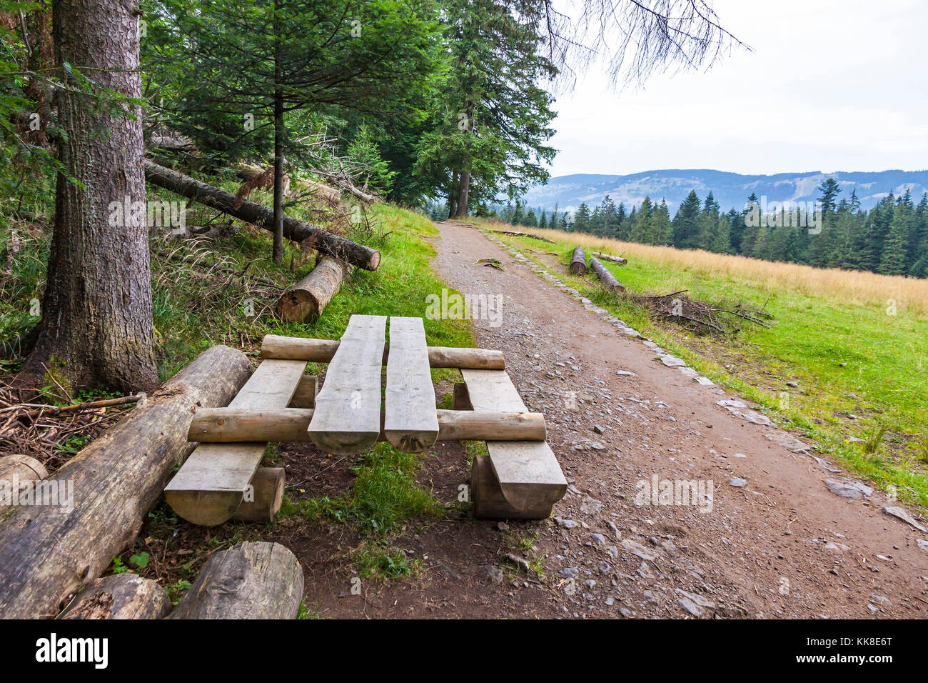 Panca di legno vuota e tavolo per rilassarsi durante le escursioni nella foresta. Alti Monti Tatra, Zakopane, Polonia Foto Stock