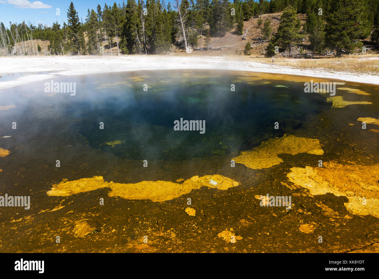 Pool di bellezza caratteristica termica nella Upper Geyser Basin, il parco nazionale di Yellowstone Foto Stock