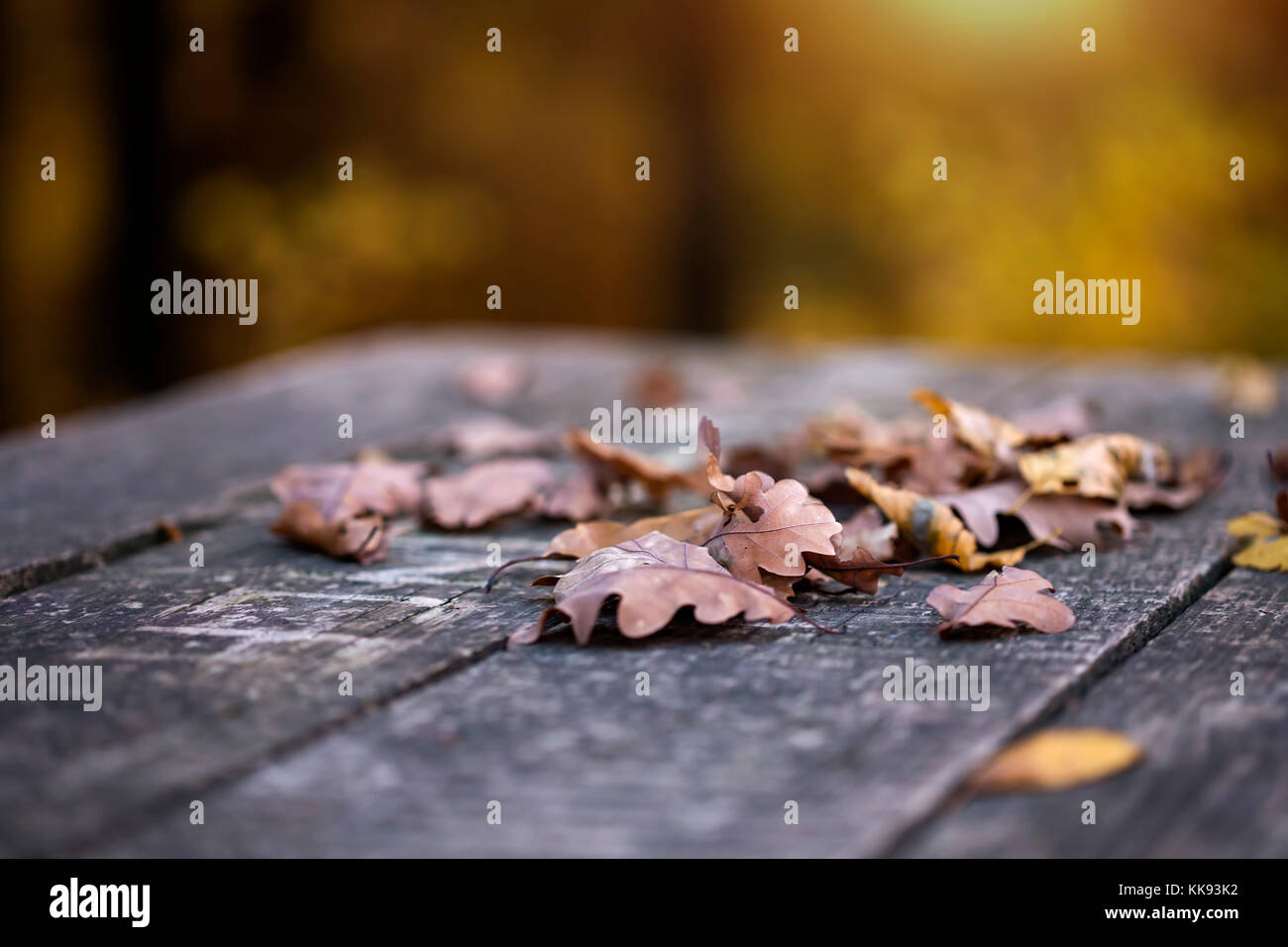 Wet Foglie di autunno al buio su un vecchio tavolo in legno Foto Stock