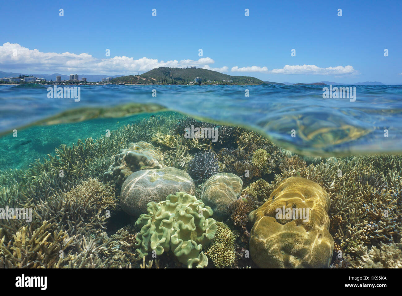 Al di sopra e al di sotto della superficie del mare, sano Coral reef sott'acqua nella laguna di grande terre isola al largo della costa della città di Noumea, Nuova Caledonia, pacific Foto Stock