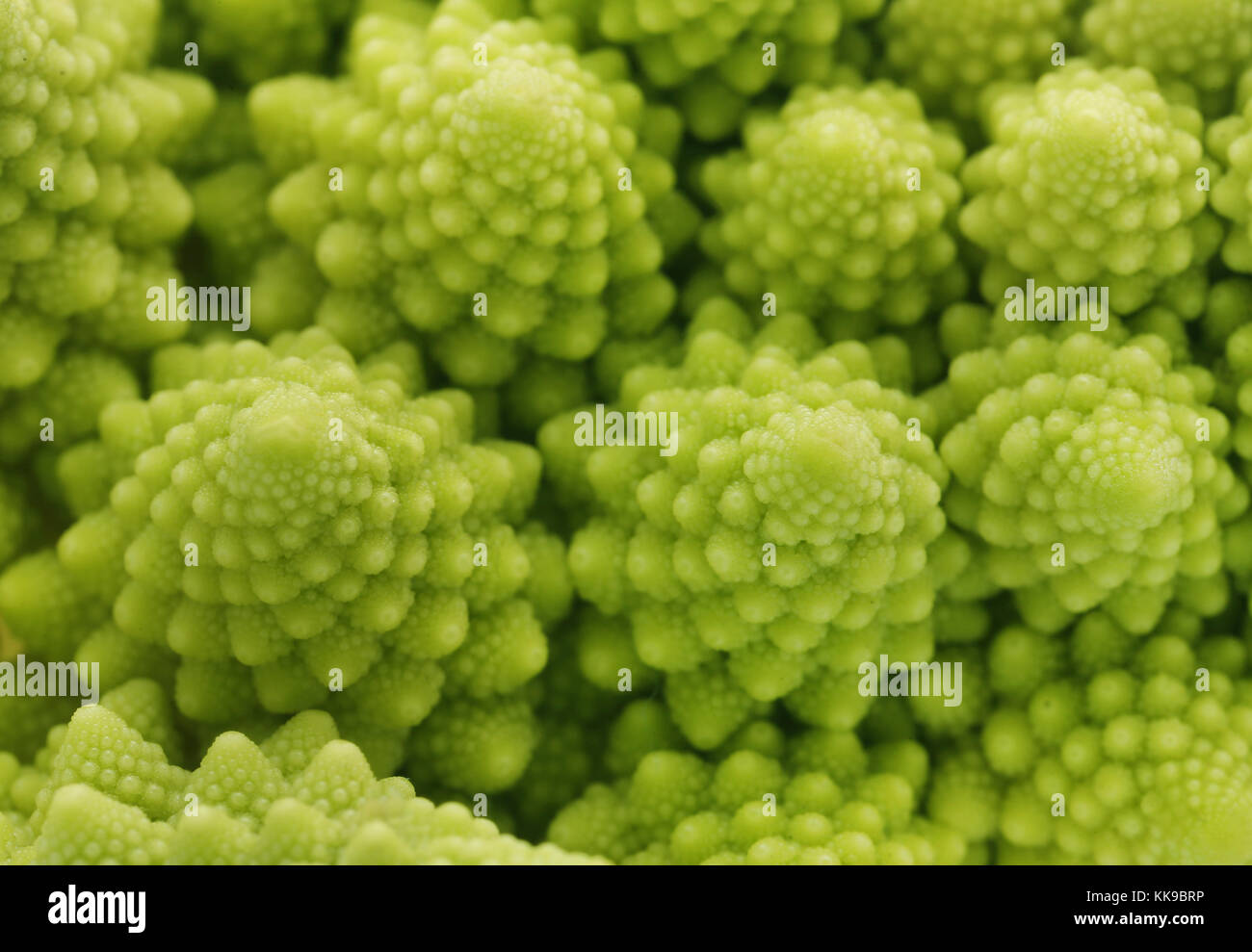 Sfondo da superficie fresca Romanesco broccoli Foto Stock