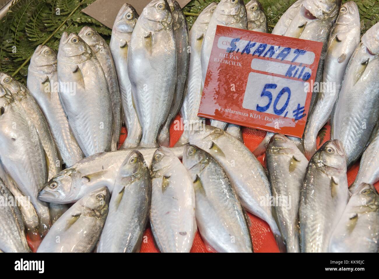 Pesce e frutti di mare freschi disposizione visualizzati sul mercato Foto Stock