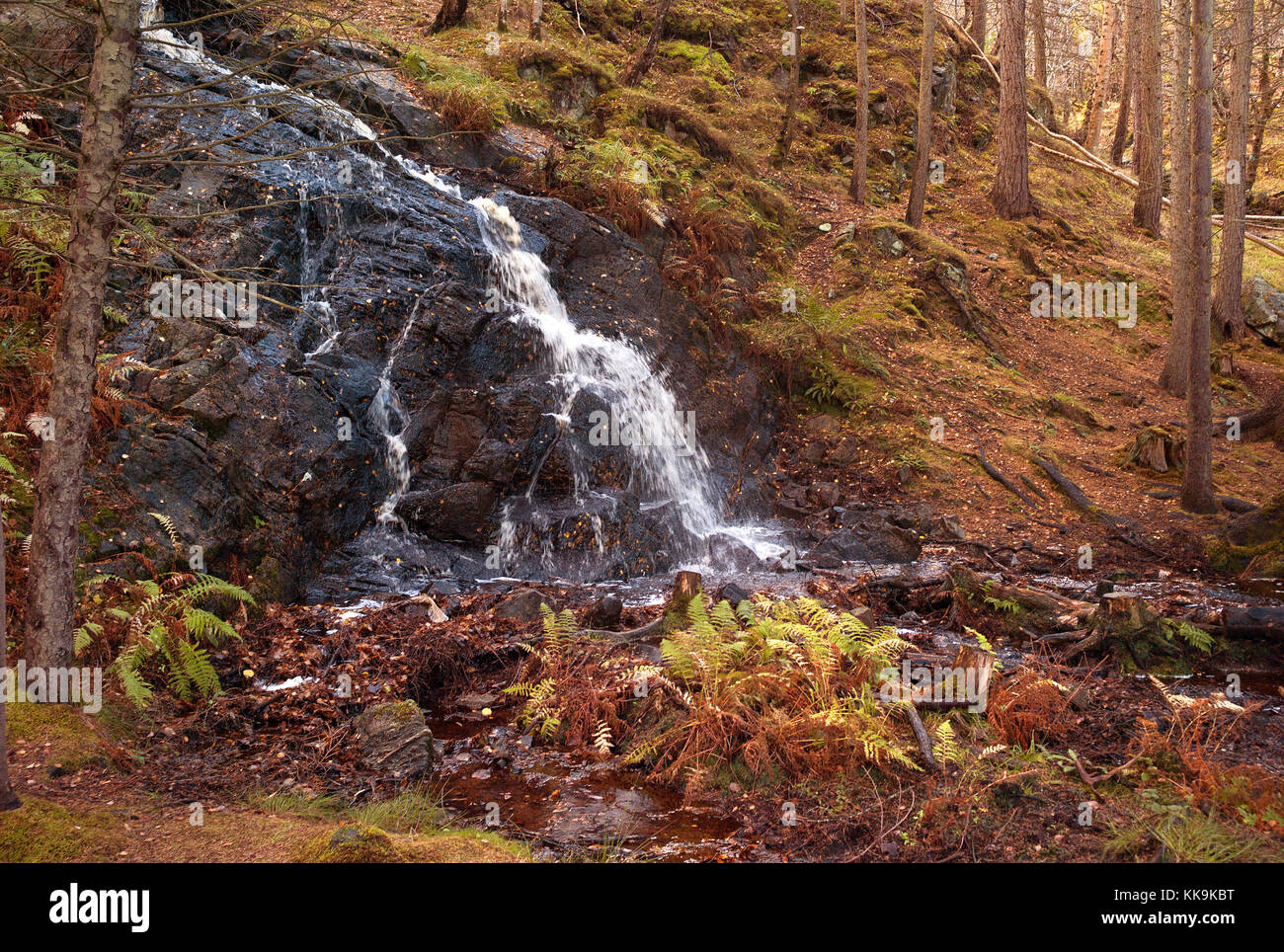 La cascata nel bosco Culag, vicino a Lochinver, Assynt, Scozia Foto Stock
