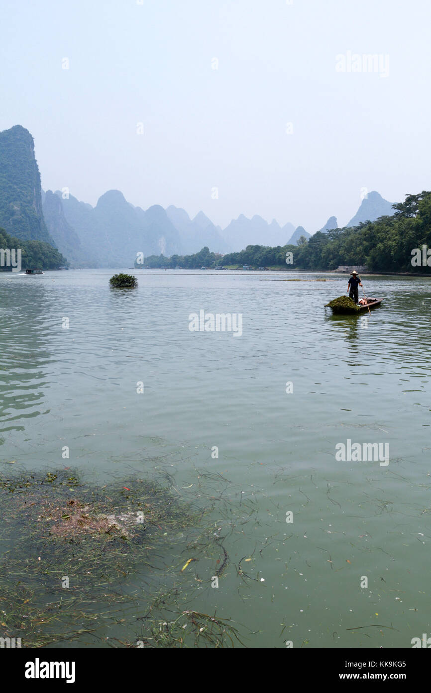 La raccolta di erbe infestanti dal fiume li in Guilin, Cina. Foto Stock