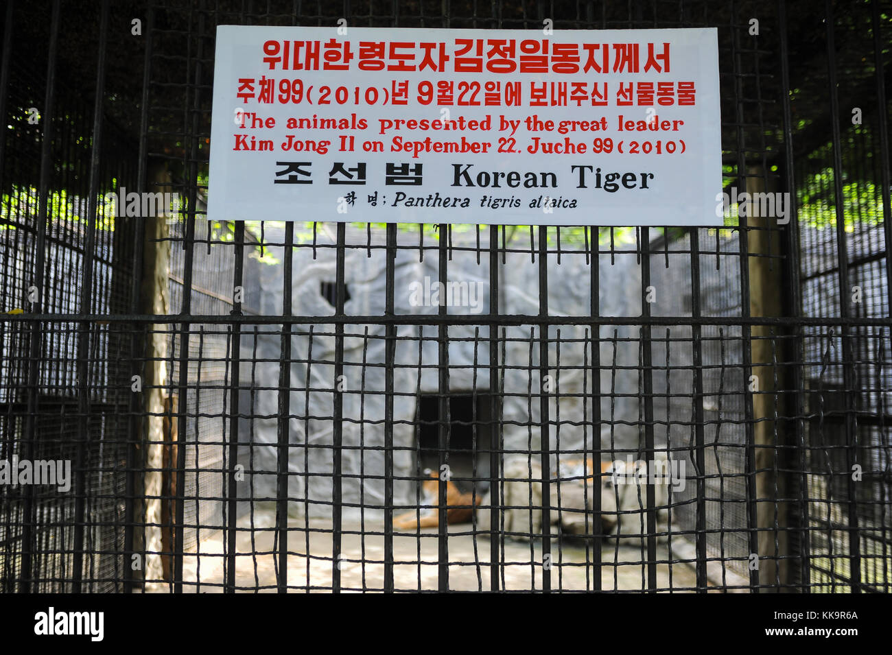 Pjoengjang, Corea del Nord, predator contenitore in Corea Zoo centrale Foto Stock