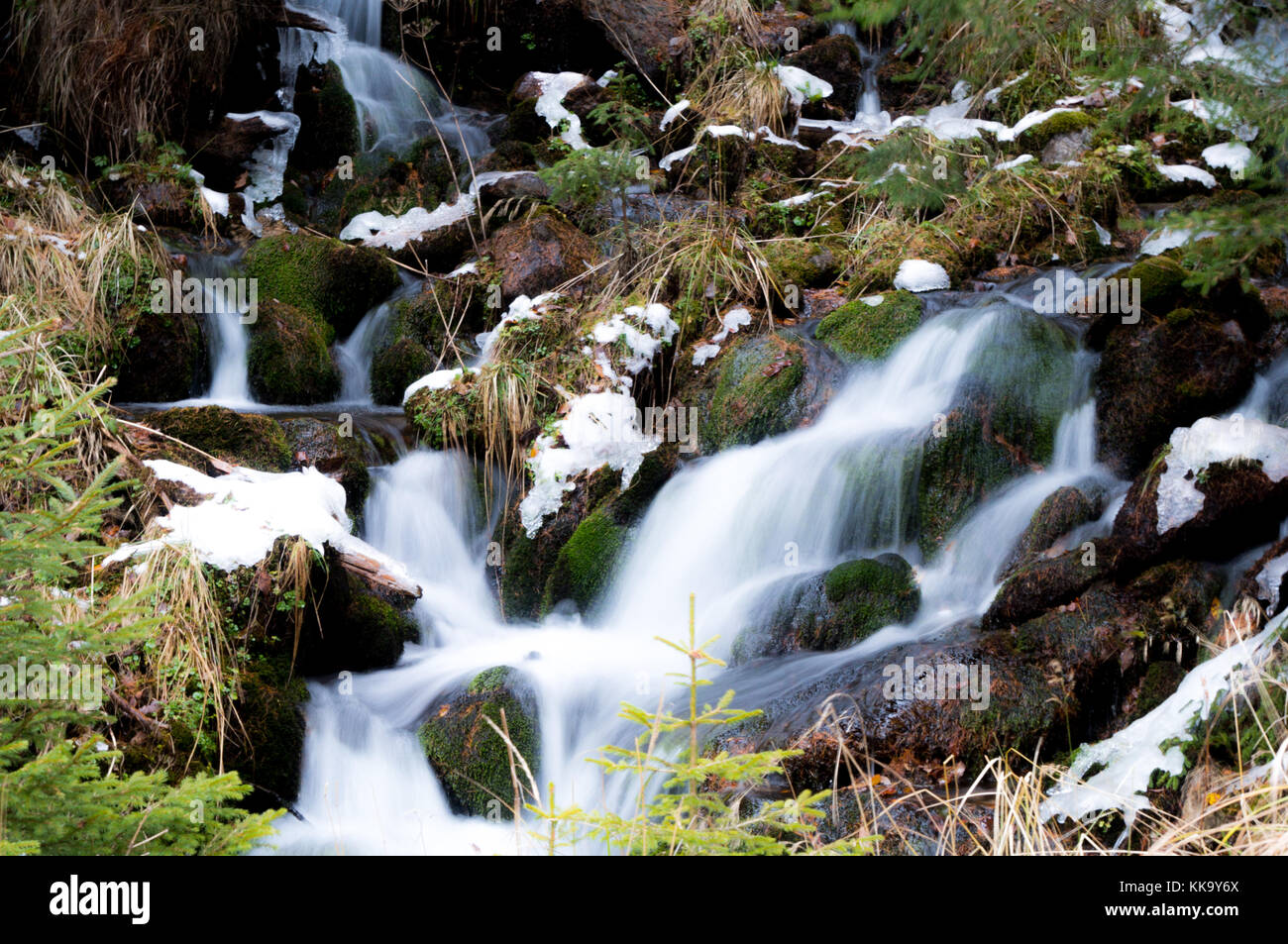 Abbastanza piccolo ruscello correndo giù per la montagna (lunga esposizione) Foto Stock