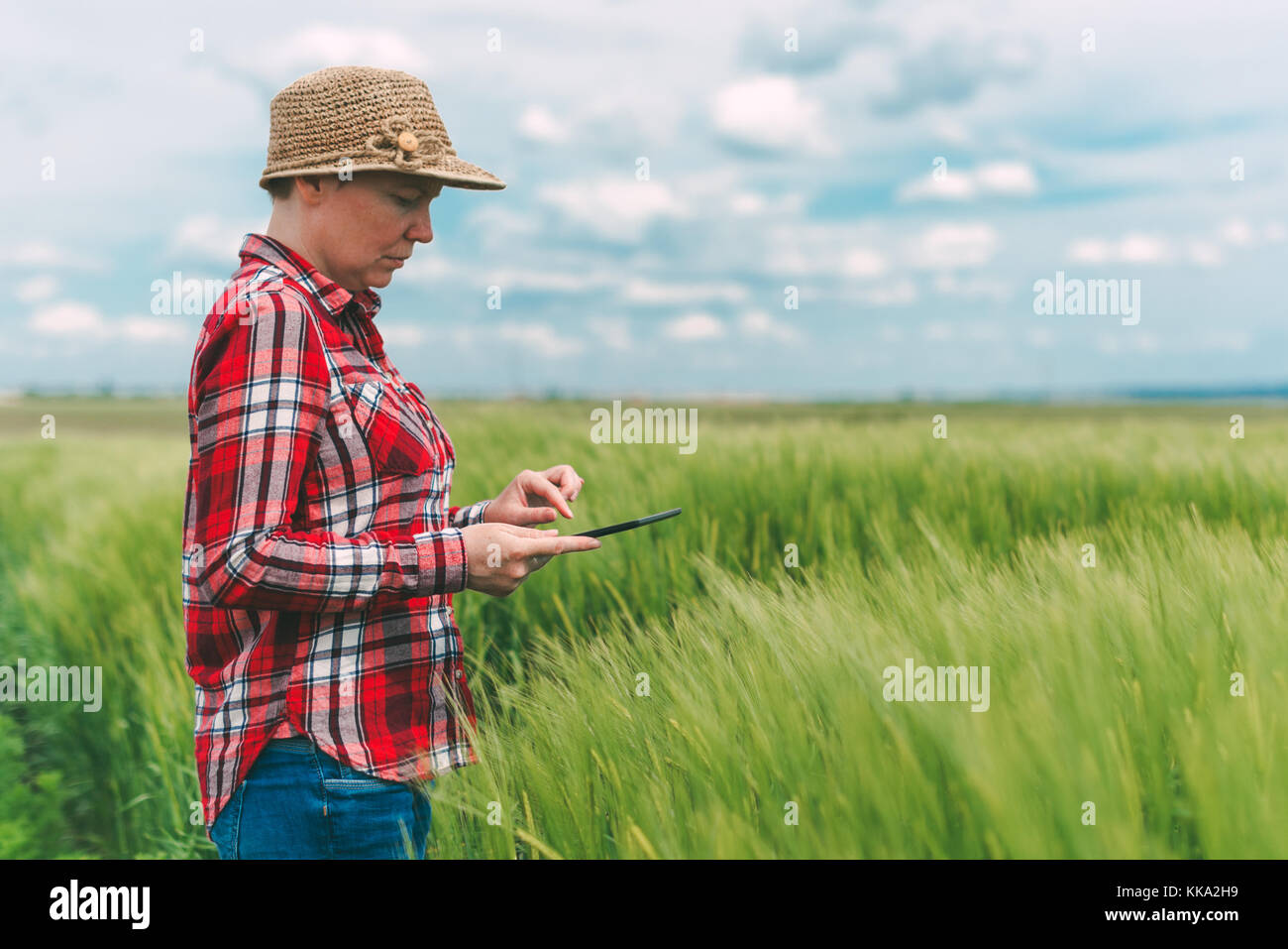 Utilizzando tablet nella produzione agricola, femmina agricoltore in coltivazioni di grano campo con elettronica moderna Foto Stock