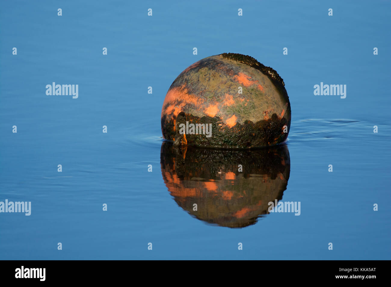 La boa in acqua calma in wyre estuary, lancashire, Regno Unito Foto Stock
