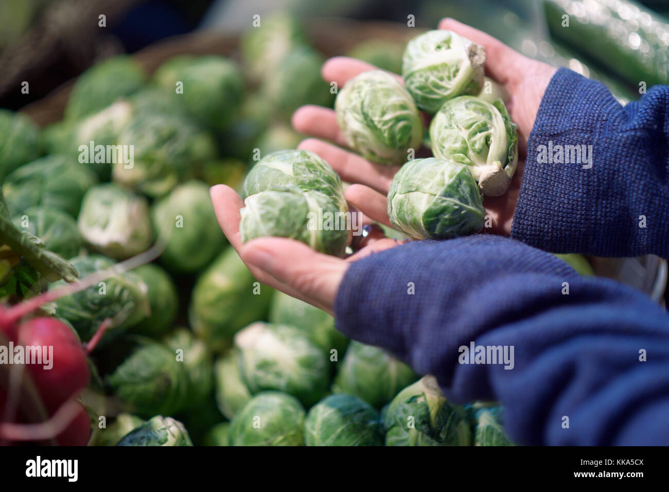 Donna mani con germogli di bruxelles biologici coltivati localmente in una bancarella di verdure di un negozio di alimentari del mercato agricolo in BC, Canada. Foto Stock