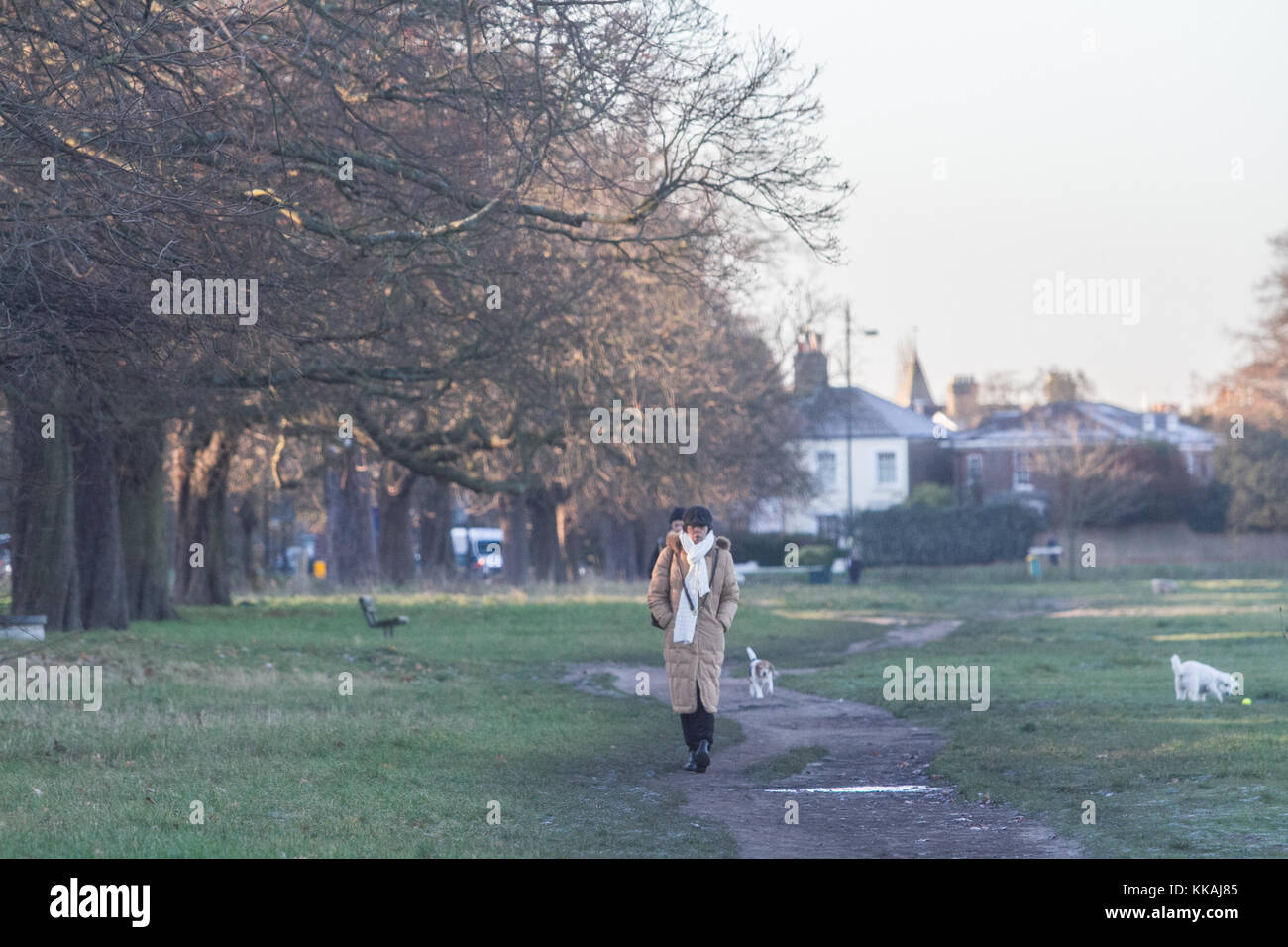 Londra, Regno Unito. 30 nov, 2017. la gente a piedi sul suolo coperto di brina sui wimbledon common su una fredda mattina come caduta di temperature di congelamento in previsione di Londra di essere il giorno più freddo dell'anno credito: amer ghazzal/alamy live news Foto Stock