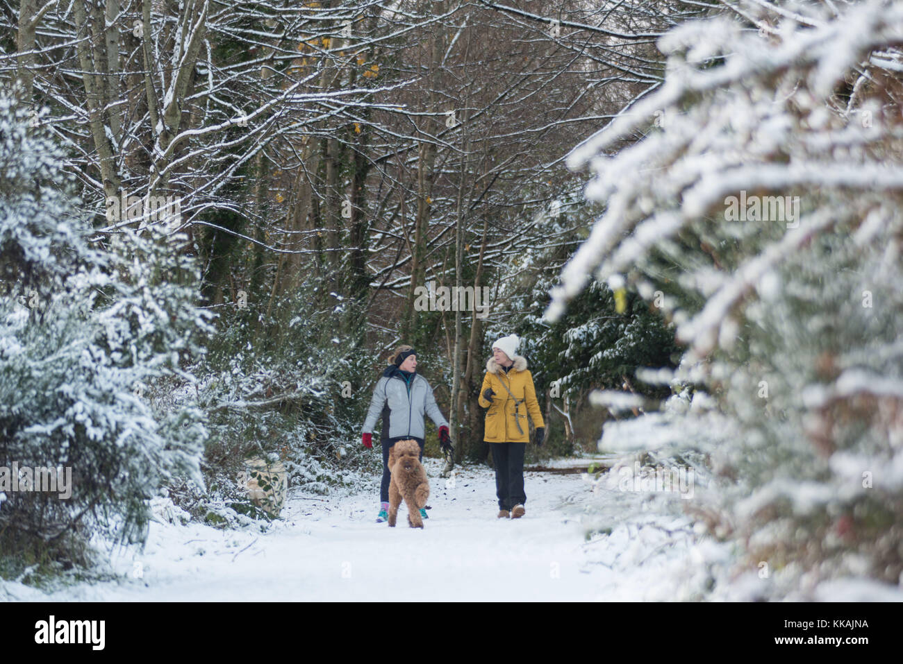 Deeside modo, Aberdeen . 30 Novembre, 2017. Dog walkers sul Deeside modo percorso in corrispondenza di culti Aberdeen godendo la neve. Credito: Paolo Glendell/Alamy Live News Foto Stock
