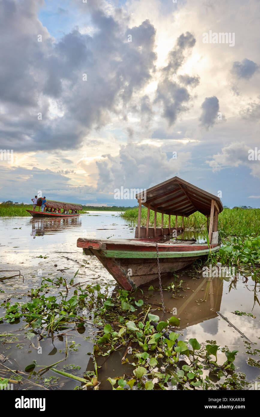 Battello fluviale attraccato nel ricco Rio delle Amazzoni, vicino a Iquitos, Perù, Sud America Foto Stock