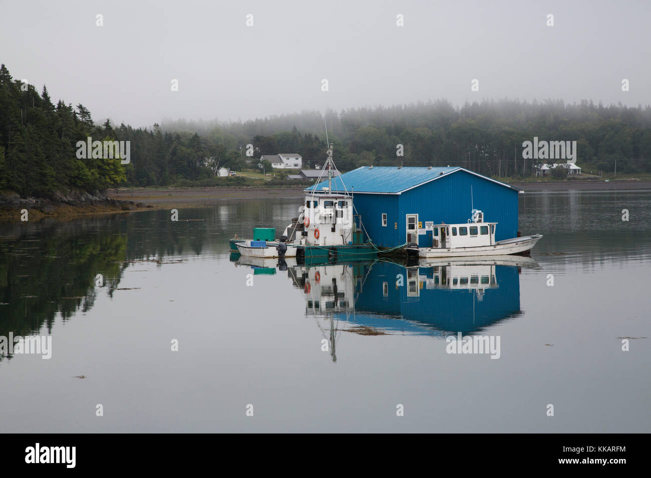 Pontile galleggiante su un nebbioso giorno, a welshpool su campobello island in New Brunswick, Canada, America del nord Foto Stock
