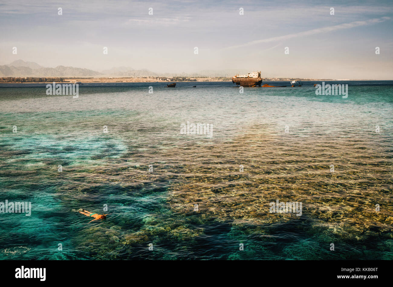 La donna lo snorkeling a fianco di naufragio a Gordon reef in stretto di Tiran, nel mare rosso, vicino a Sharm el Sheikh. mare rosso, il Sinai, Egitto Foto Stock