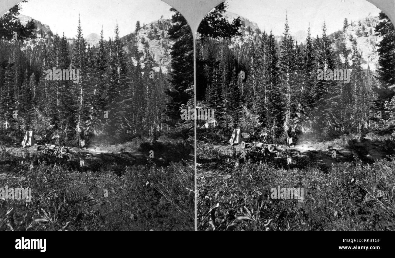 Stereografia sulla forcella destra del fiume Teton, Teton County, Wyoming. Immagine cortesia USGS. 1872. Foto Stock