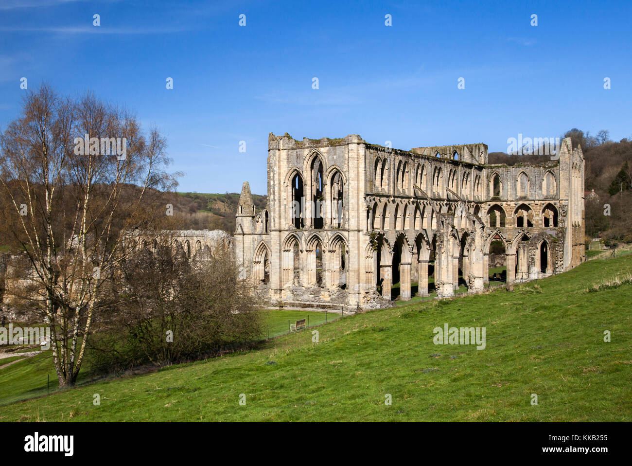 Rievaulx Abbey North York Moors National Park North Yorkshire Foto Stock
