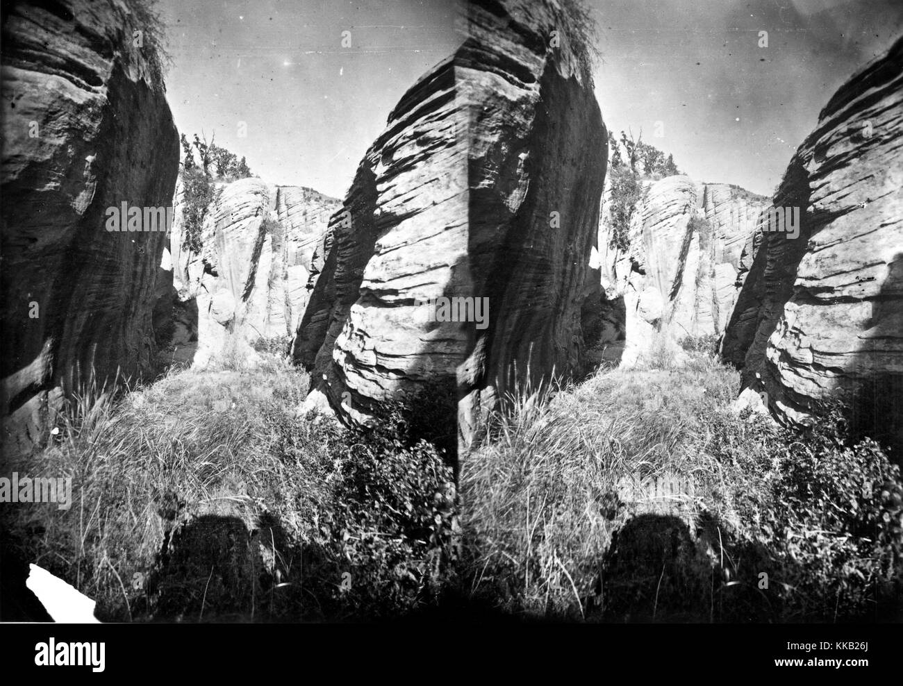 Stereografia della gola rocciosa della spazzola Creek su Ashley forcella, Green River, Utah. Immagine cortesia USGS. 1875. Foto Stock
