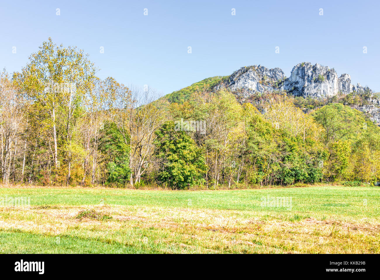 Vista di Seneca rocce dal centro visitatori durante l'autunno, giallo oro fogliame degli alberi nella foresta, prato erba di prato Foto Stock