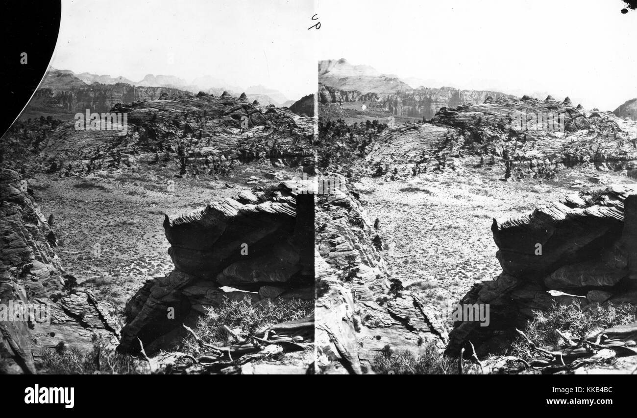 Stereografia Colob del paese con il Buttes della Mukuntuweap ramo del fiume vergine nella distanza, Utah. Immagine cortesia USGS. 1875. Foto Stock