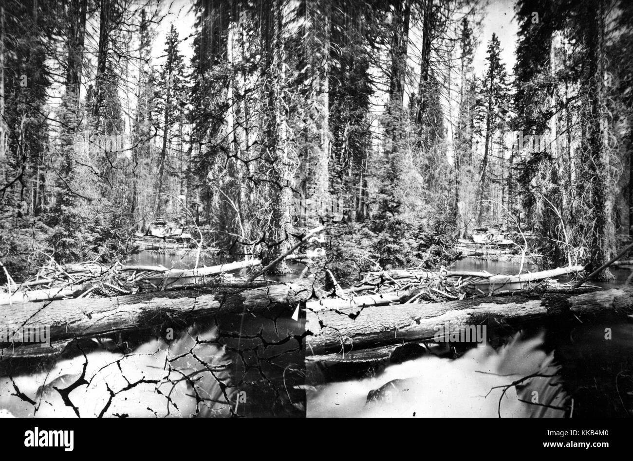 Forcella di sinistra del fiume Teton, Lincoln County, Wyoming. Immagine cortesia USGS. 1872. Foto Stock