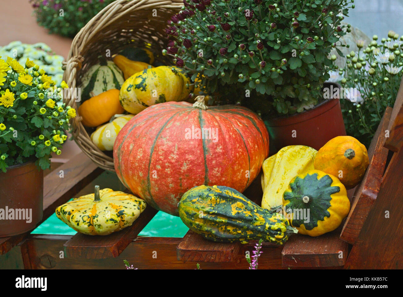 Autunno decorazioni fatte di plastica Foto Stock