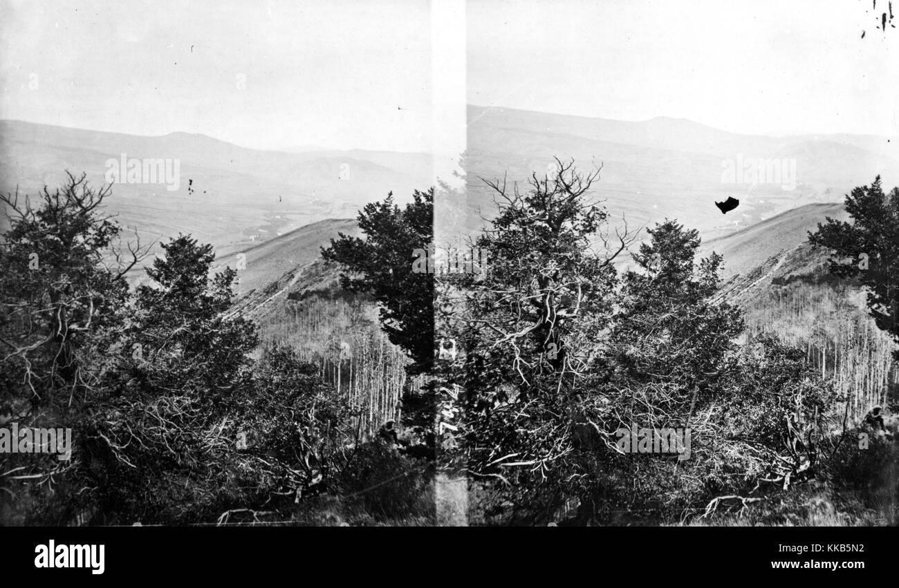 Stereografia del Fiume Azzurro come visto da vicino al picco di Ute, Colorado, 1874. Immagine cortesia USGS. Foto Stock