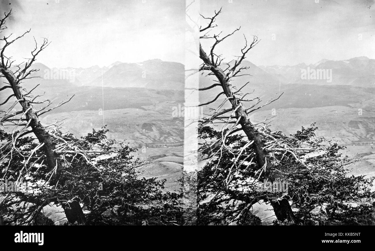 Stereografia di una vista in elevazione del Fiume Azzurro da ovest, Summit County, Colorado, 1874. Immagine cortesia USGS. Foto Stock