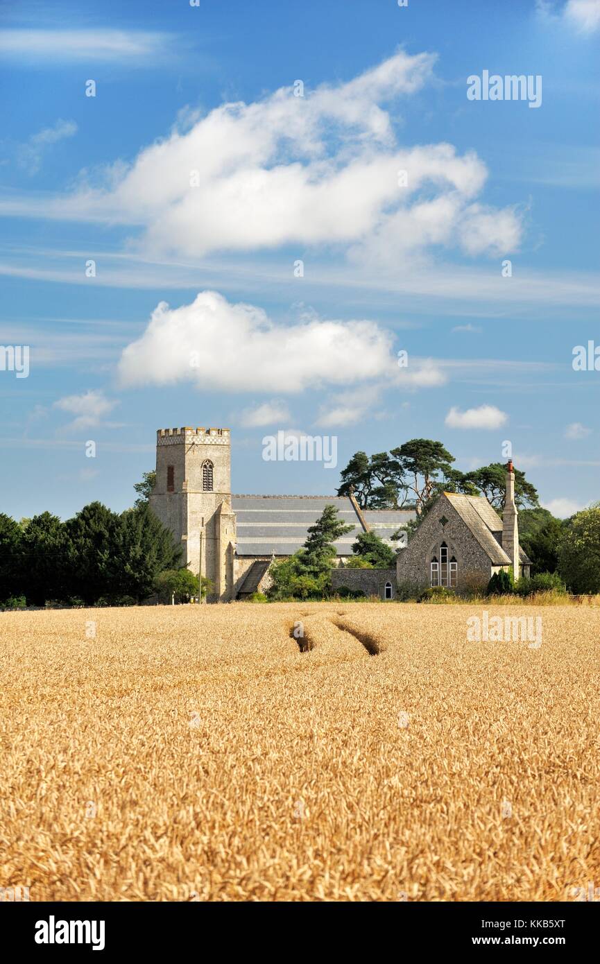 Santa Maria Vergine Chiesa Parrocchiale attraverso mature orzo campo nel villaggio di Gunthorpe, vicino a Cromer, Norfolk, Inghilterra. Estate Foto Stock